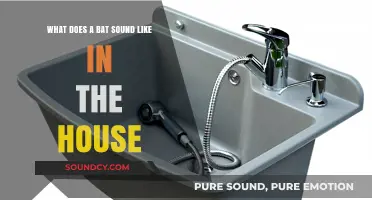Echoes of Wings: Decoding the Mysterious Sounds of Bats in Your Home