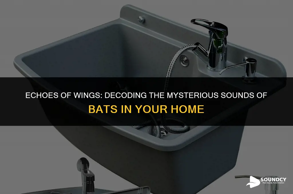 what does a bat sound like in the house