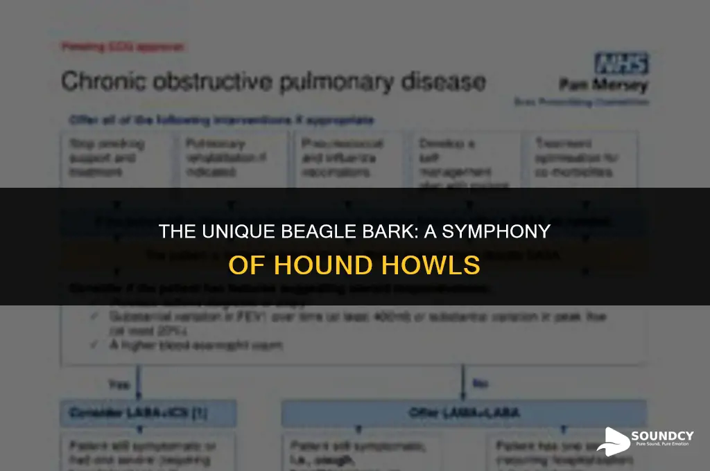 what does a beagle sound like when it barks