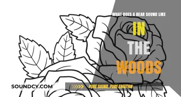 Echoes of the Wild: Unraveling the Mysteries of Bear Sounds