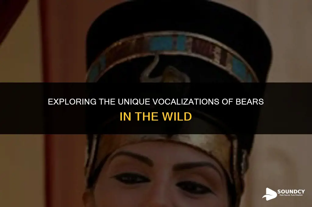 what does a bear sound like when it