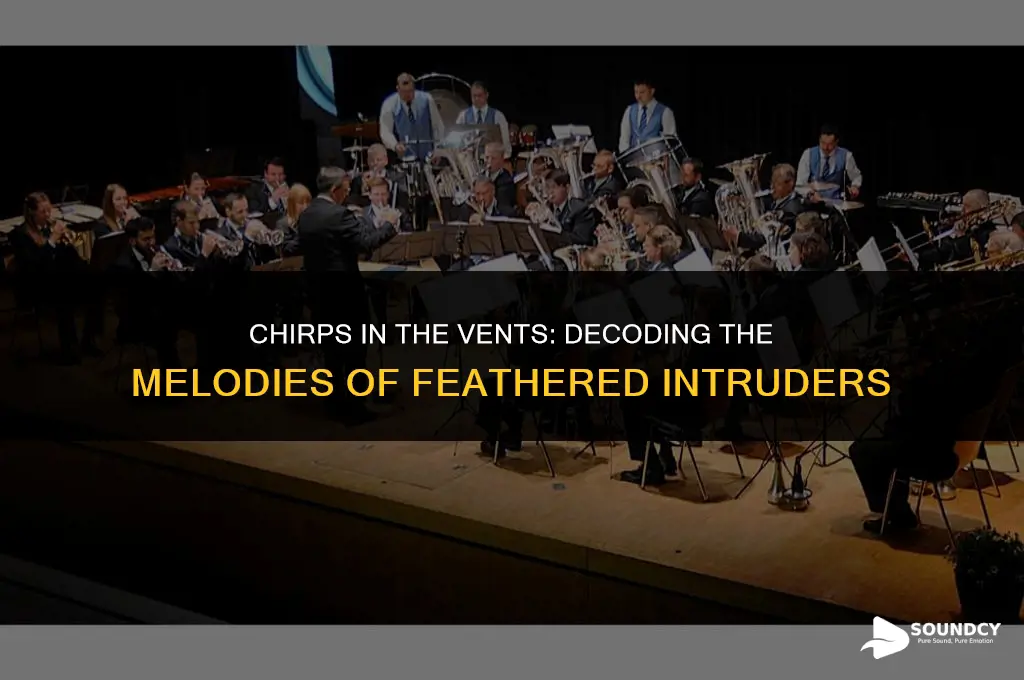 what does a bird in a vent sound like