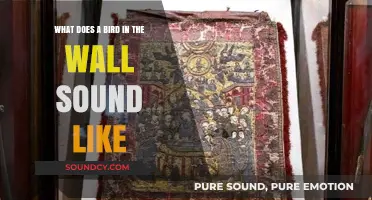 Echoes of Nature: Decoding the Mysterious Birdsong from Within the Wall