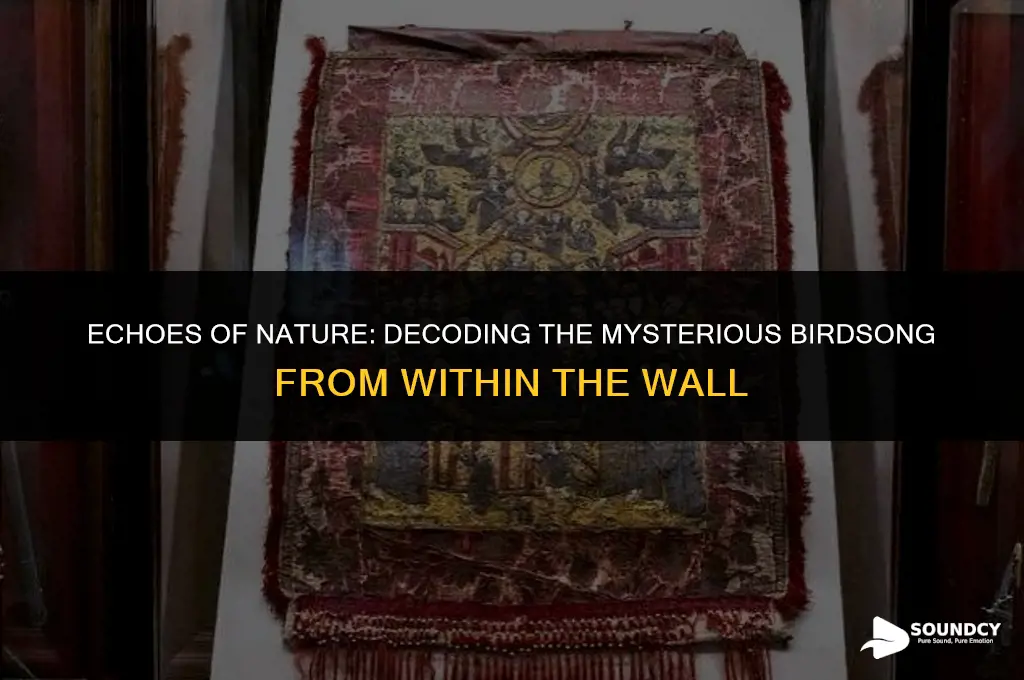what does a bird in the wall sound like