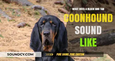 Exploring the Unique Vocalizations of Black and Tan Coonhounds