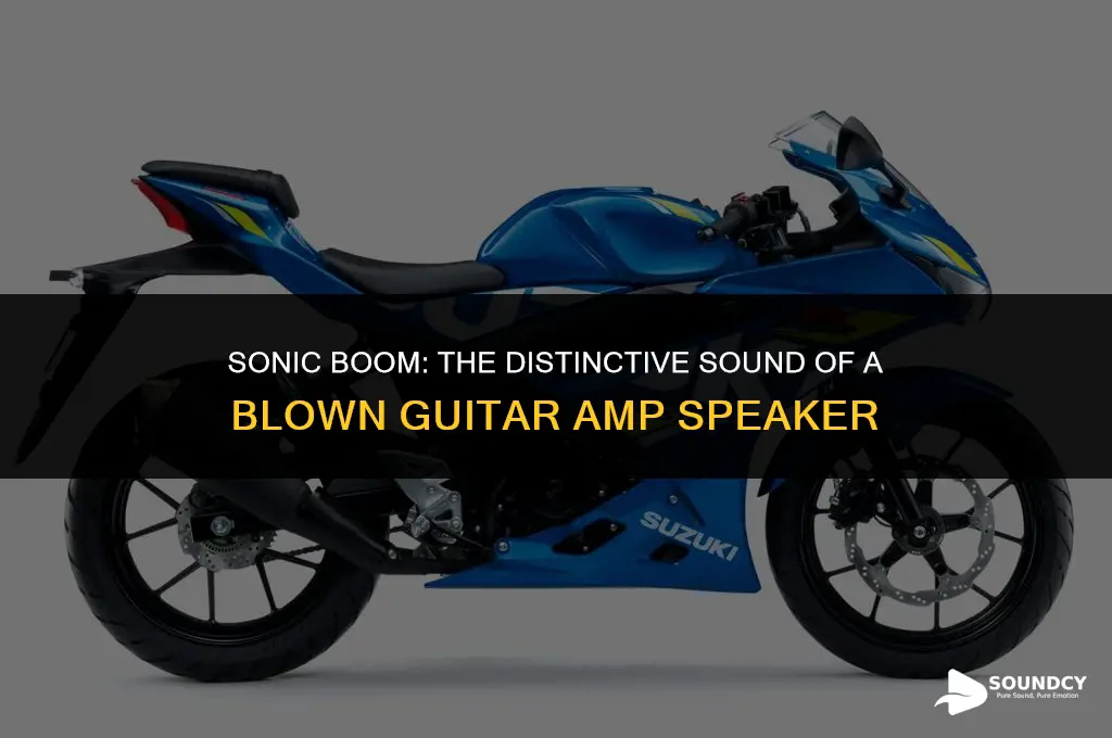 what does a blown guitar amp speaker sound like
