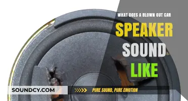 Decoding the Distortion: What Does a Blown Out Car Speaker Sound Like?
