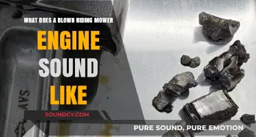 Decoding the Noise: Signs Your Riding Mower Engine Has Blown