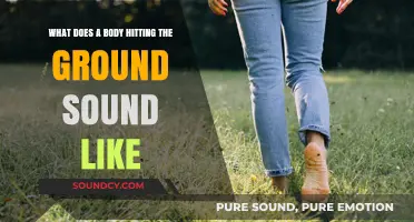 The Acoustic Impact: Exploring the Sound of a Body Hitting the Ground