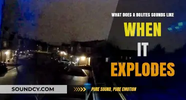 The Shocking Sonic Boom of a Bolide's Explosive Entry