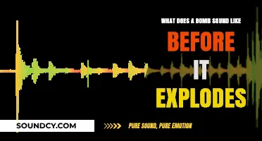 The Haunting Silence: What Does a Bomb Sound Like Before It Explodes?