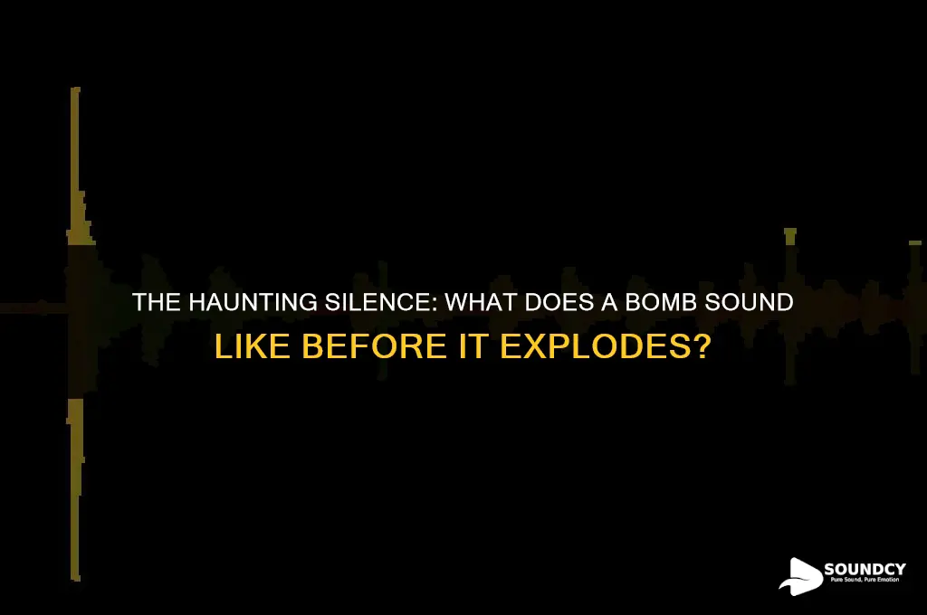 what does a bomb sound like before it explodes