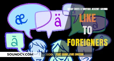Decoding the Charm: How Foreigners Perceive the British Accent