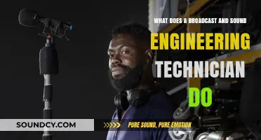 Behind the Scenes: The Vital Role of Broadcast and Sound Engineering Technicians