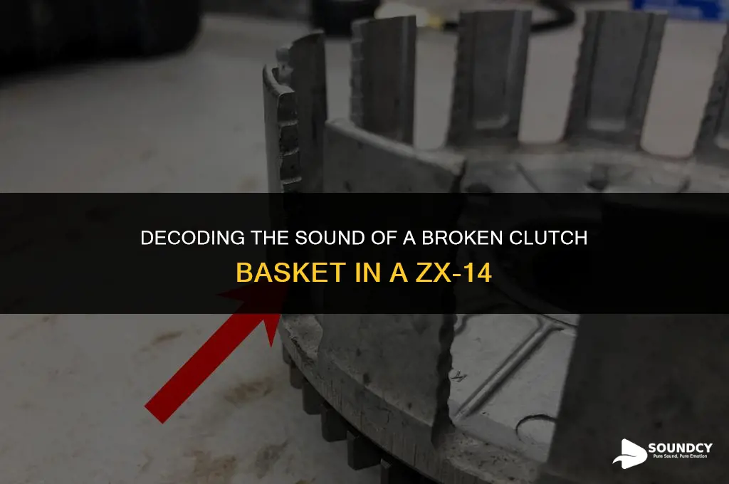 what does a broken clutch basket sound like zx14