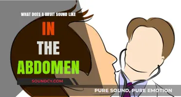 Abdominal Bruits: Understanding the Sound and Its Implications