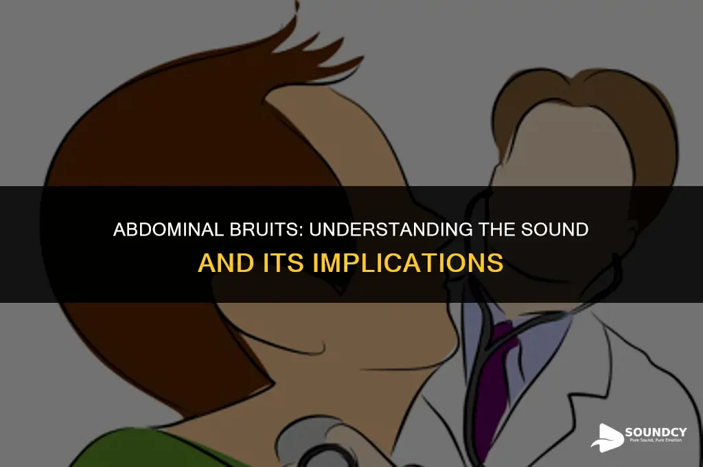 what does a bruit sound like in the abdomen