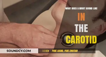 Understanding Carotid Bruit: What Does It Sound Like?