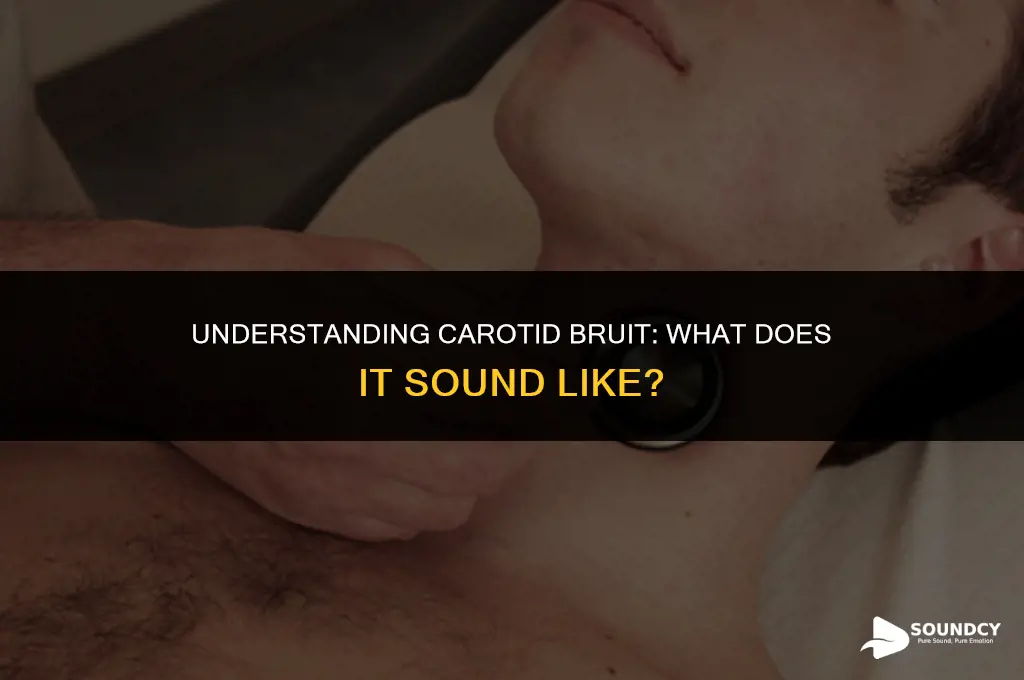 what does a bruit sound like in the carotid