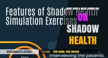Exploring the Sonic Landscape of Shadow Health: What Does a Bruit Sound Like?