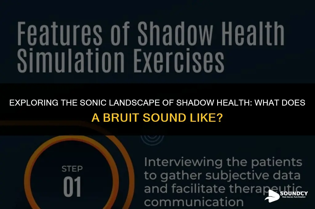 what does a bruit sound like on shadow health