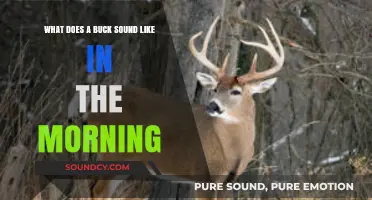 Morning Buck Calls: Unveiling the Dawn's Majestic Deer Sounds