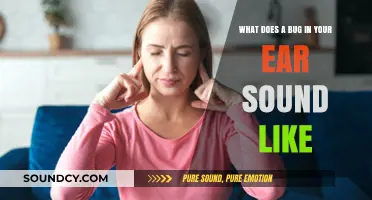 The Annoying Buzz: What Does a Bug in Your Ear Sound Like?