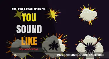 The Sonic Signature of Danger: What a Bullet Sounds Like