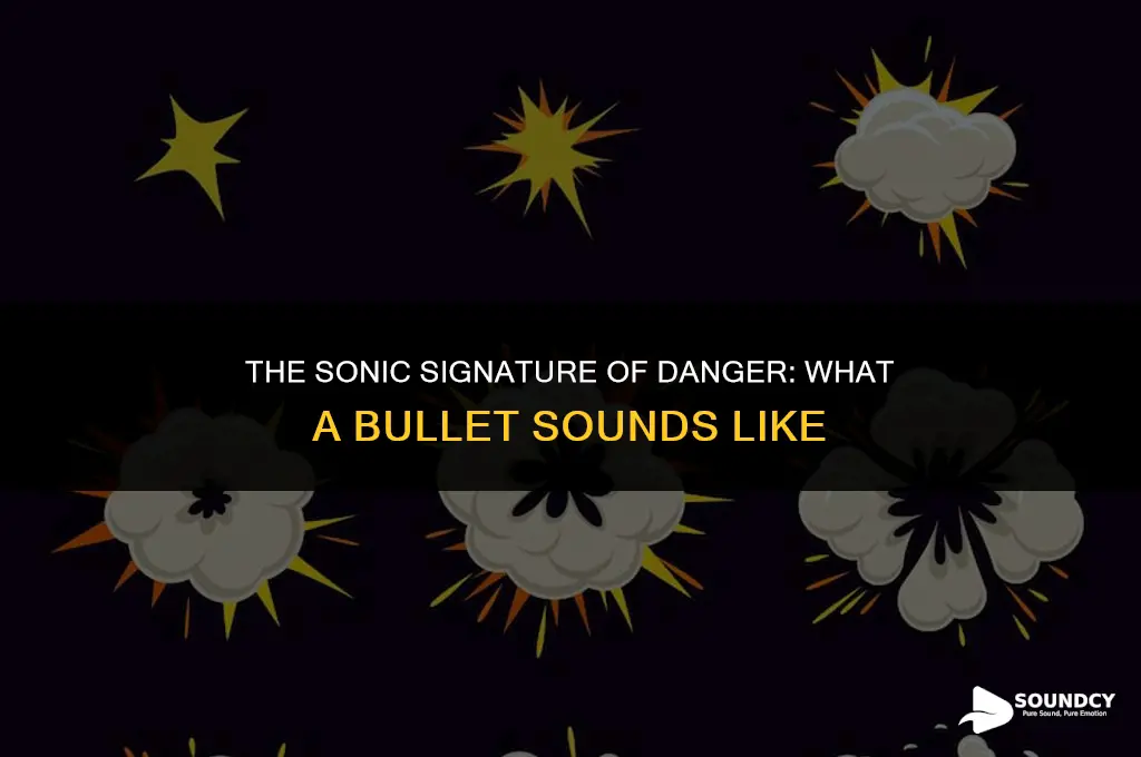 what does a bullet flying past you sound like