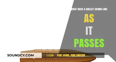 The Sonic Signature: Decoding the Distinct Sound of a Bullet in Motion