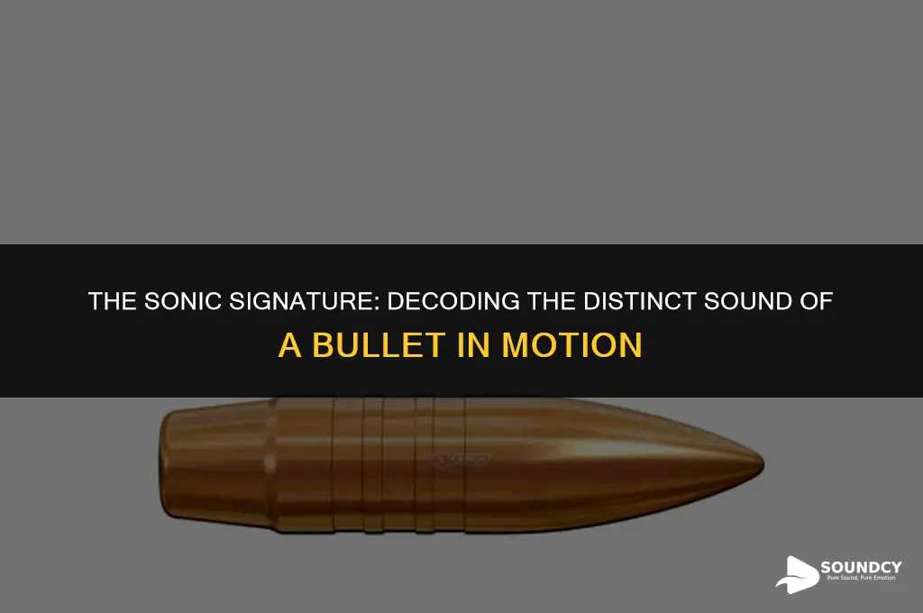 what does a bullet sound like as it passes