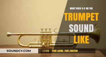 Exploring the Trumpet's C: A Sonic Journey Through Brass Timbres