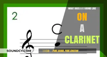 Clarinet's Sonic Palette: Unveiling the Richness of a C Note