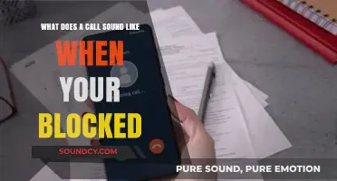 Decoding the Silence: Understanding Blocked Call Sounds