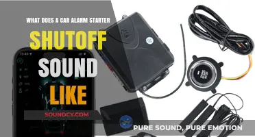 Decoding the Distinctive Sound of a Car Alarm Starter Shutoff