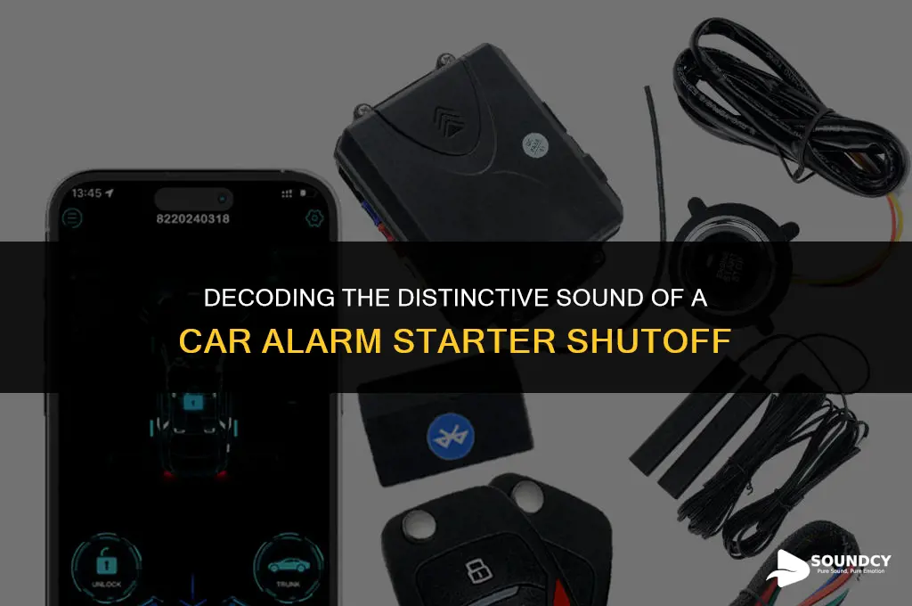what does a car alarm starter shutoff sound like