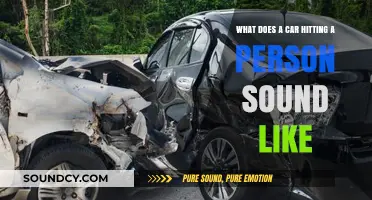 The Shocking Sound of a Car Hitting a Person: A Sobering Reality Check