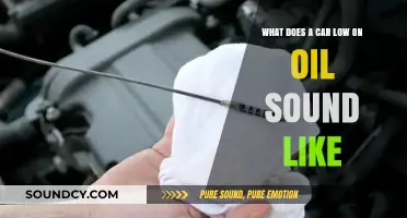 Engine Trouble: Decoding the Sounds of a Low Oil Car