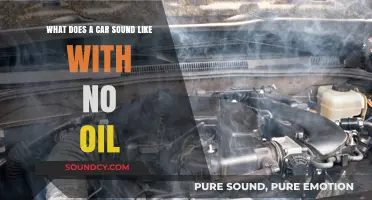 The Eerie Silence: Driving Without Oil and Its Consequences