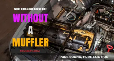 Revving Unmuffled: The Raw Symphony of an Exhaust-Free Engine