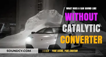 Revving Unfiltered: The Raw Sound of a Car Without a Catalytic Converter