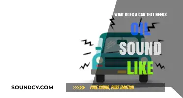 Decoding Engine Noises: When Your Car Cries Out for Oil