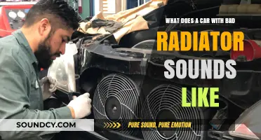 Decoding the Noises: How to Identify a Failing Car Radiator