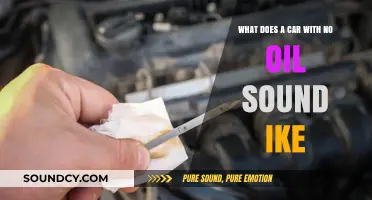 Engine in Distress: The Tell-Tale Signs of an Oil-Starved Car