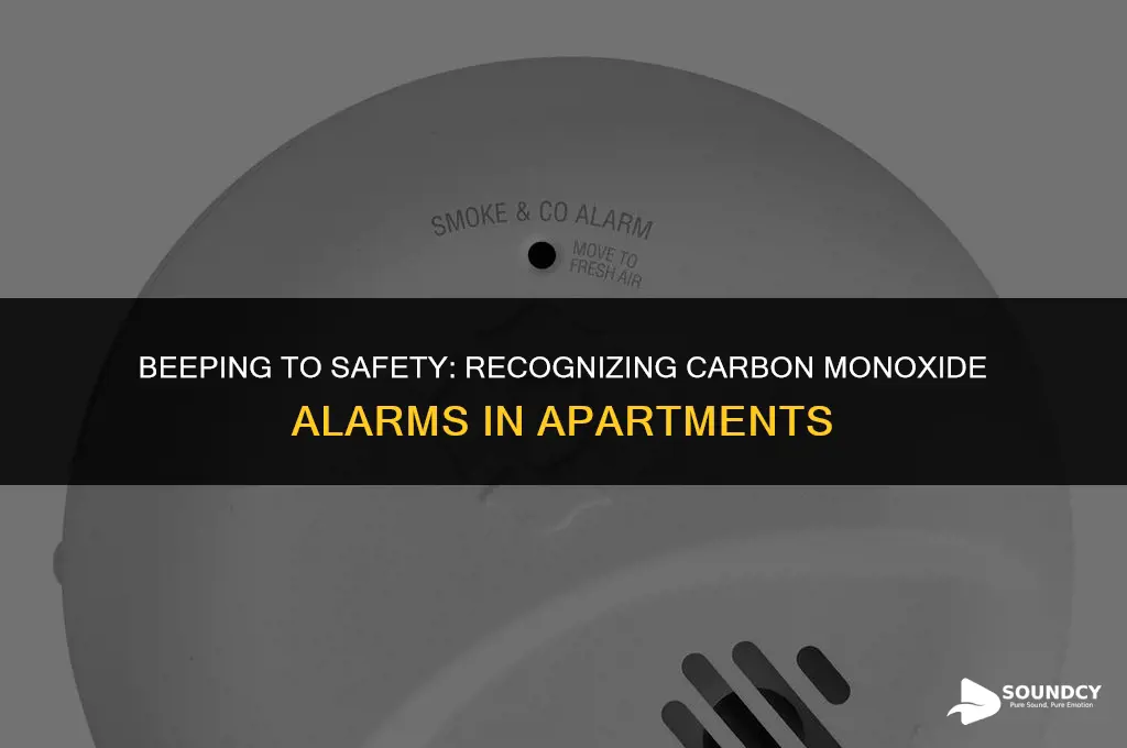 what does a carbon monoxide alarm sound like apartments