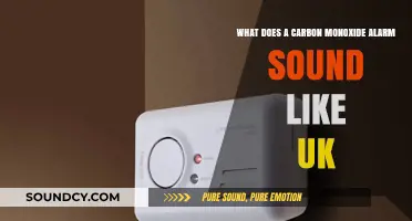Understanding Carbon Monoxide Alarms: A UK Perspective