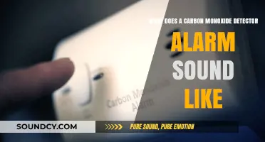 Carbon Monoxide Detector Alarm: Recognizing the Life-Saving Sound