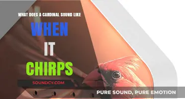 The Melodious Chirp of Cardinals: A Symphony in Nature