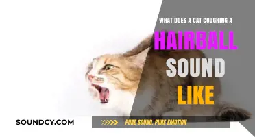 The Unique Symphony of a Feline Hairball Episode