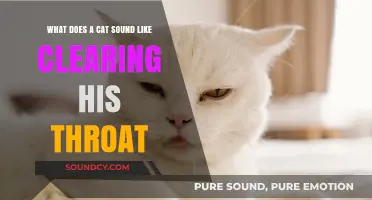 The Unique Art of Feline Throat Clearing: A Comprehensive Guide